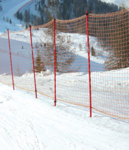 LISKI_tyczki_RL11751